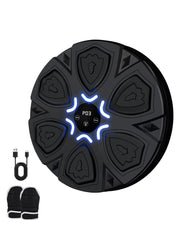 Novarhome Musical Boxing Machine - Wall Mounted Bluetooth Boxing Trainer with LED Lights, Interactive Reaction Training Equipment for Adults and Children, Stress Relief Fitness Workout Gift